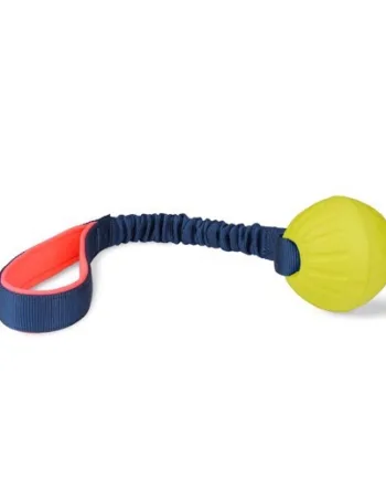 Coachi Tuggy Ball  Med Bungee Stræk