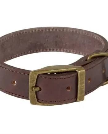 Companion Læderhalsbånd  Mørkebrun  42-52 Cm