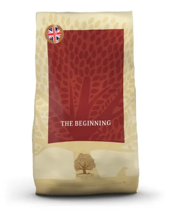 Essential Finest Heritage The Beginning Hvalpefoder  10 Kg