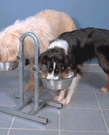 Hundebar Med Vand- Og Madskål