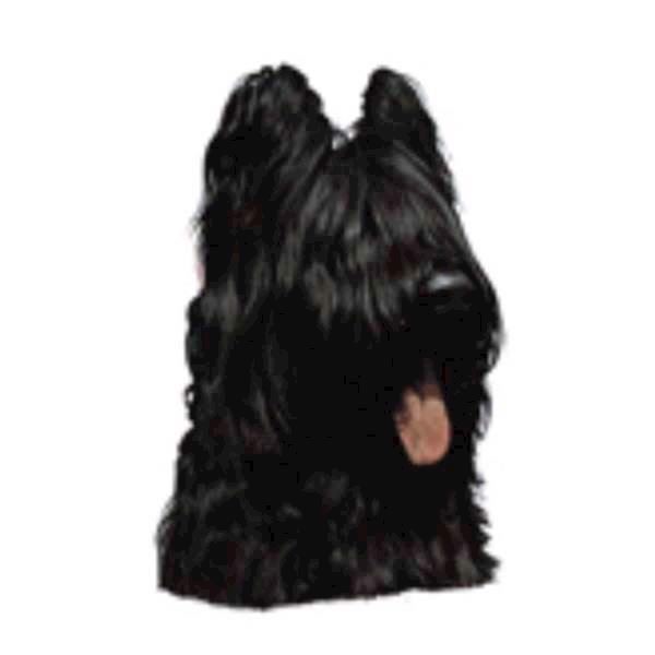 Klistermærke Briard