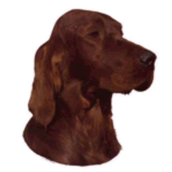 Klistermærke Irsk Setter