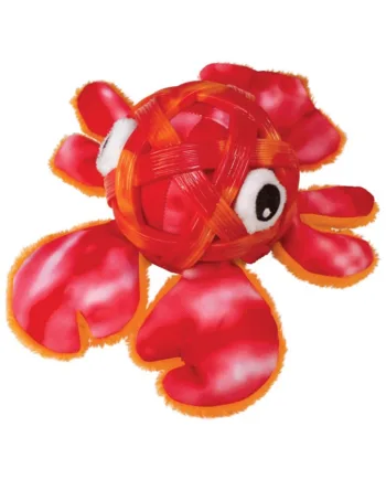 Kong Sea Shells  Hummer  Medium Large