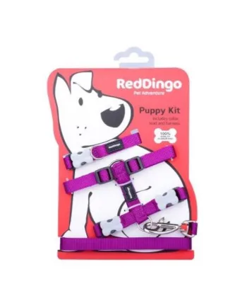 Red Dingo Hvalpesæt  Lilla