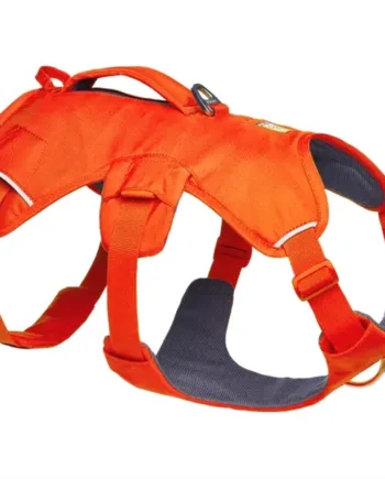 Ruffwear Web Master Harness  Blaze Orange  Large Xlarge