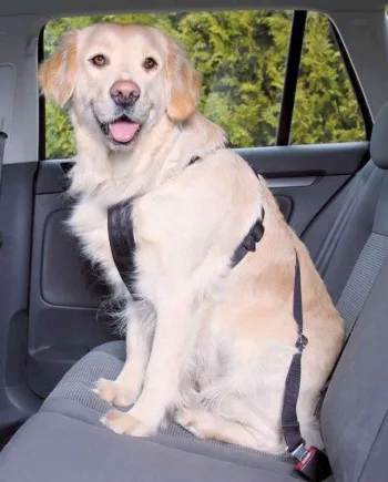 Sikkerhedssele Til Hunden  Medium