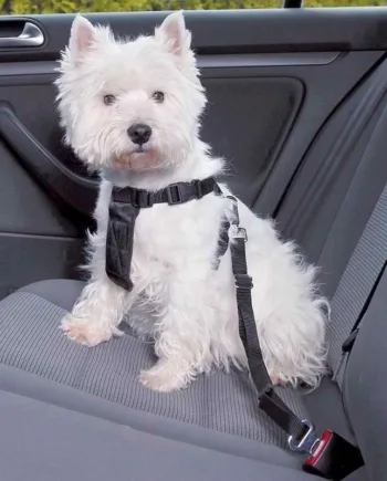 Sikkerhedssele Til Hunden  Xsmall