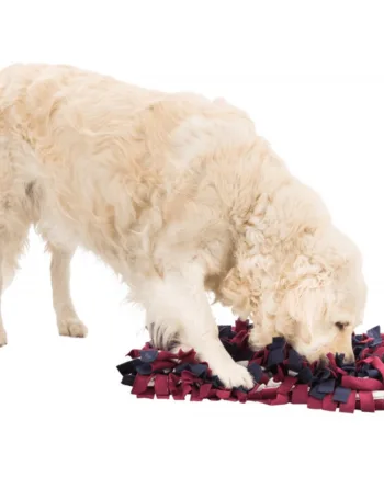 Snusetæppe Til Hunde  50   34 Cm