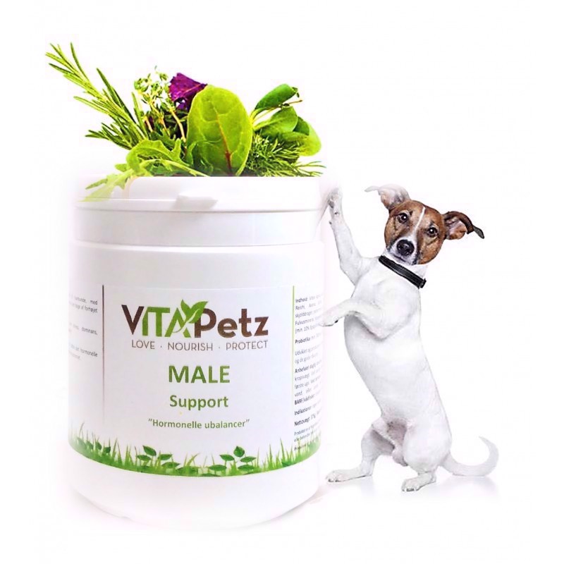 Vitapetz Male Support Til Hormonelt Betinget Ubalancer 125g