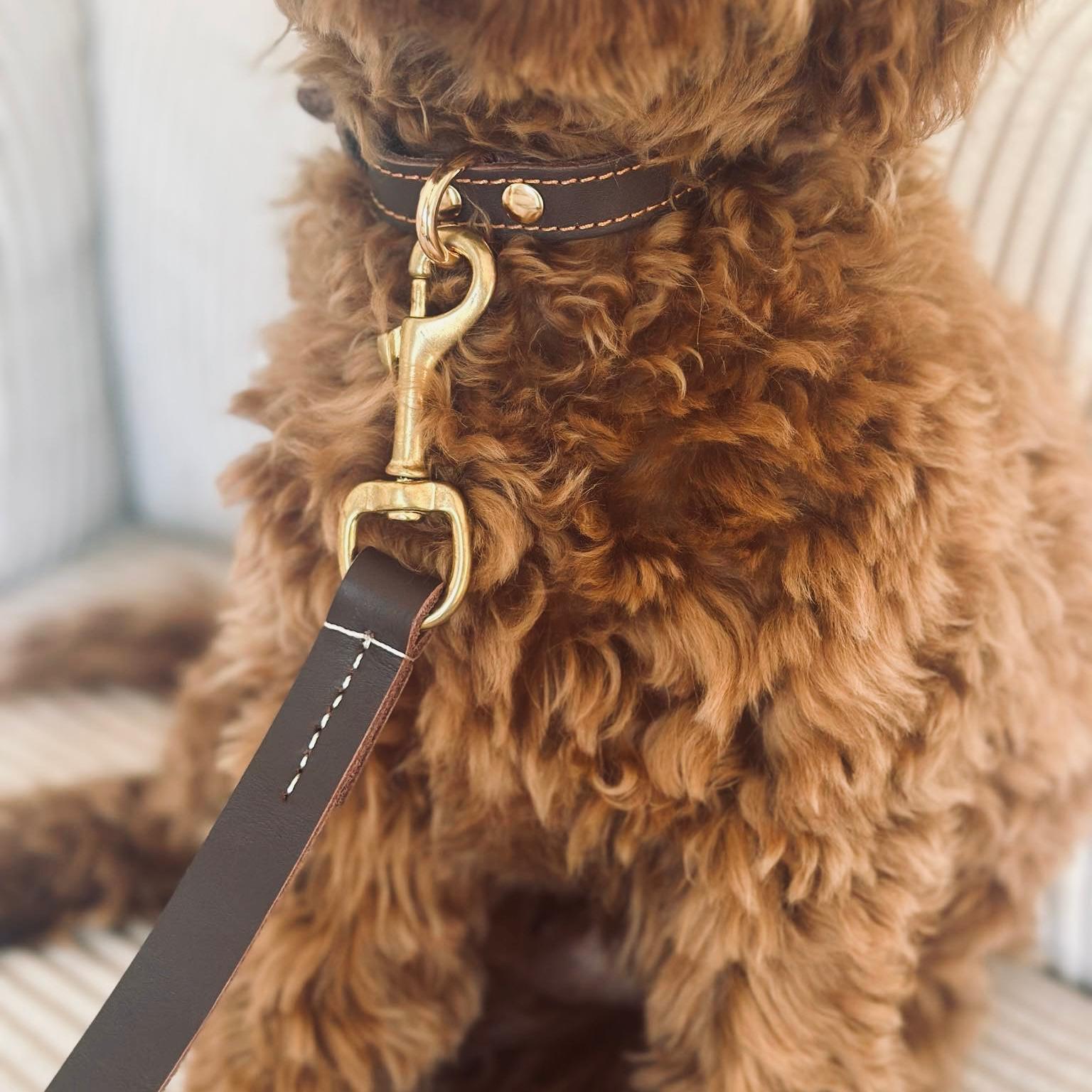 Hundesnor   Mørk Brun Læder 140 Cm