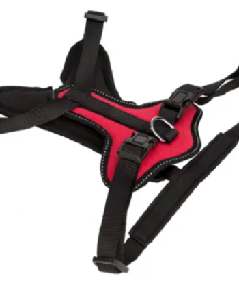 -sele Til Hunde Sort Rød Large