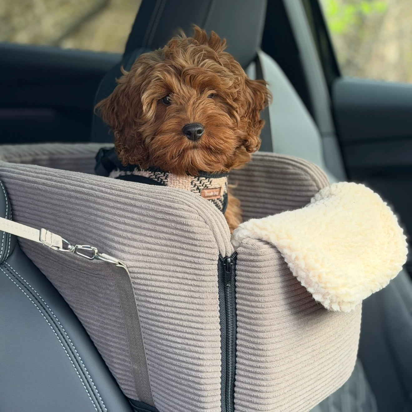 Agnes Bilsæde Til Hunde Midterkonsol