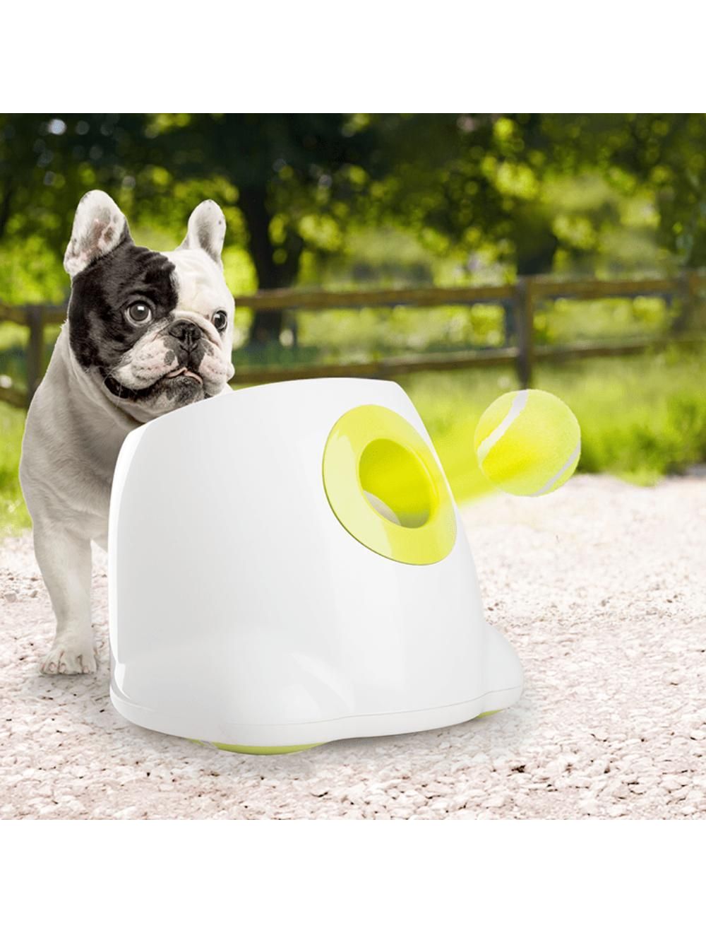 Afp Hyper Fetch Mini Ball Launcher For Hunde   -  Meter Kast  Ac-adapter Eller Batteri  Til Bolde     Cm   Diameter  Legetøj Til Hunde