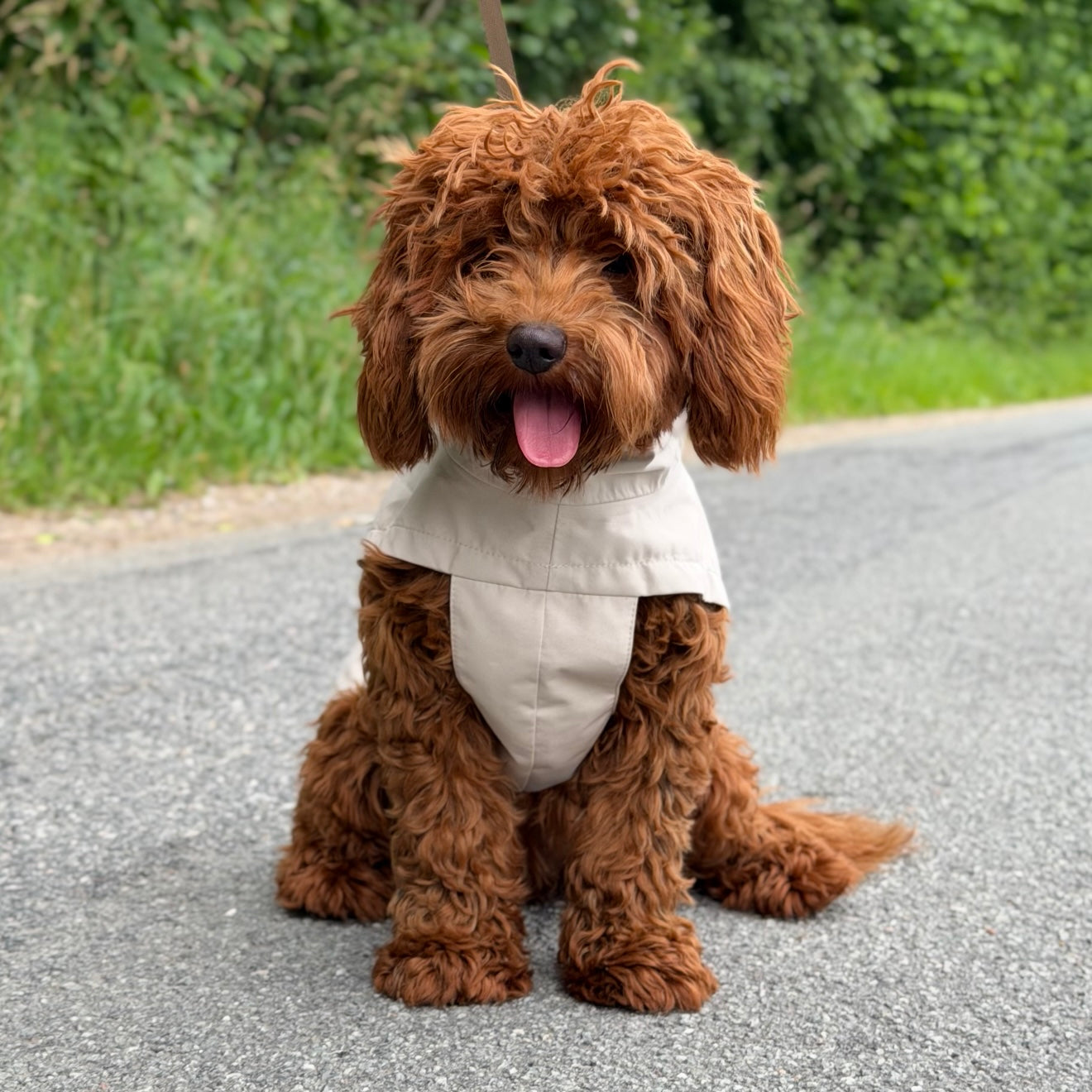 By Doodle Dogs Regnjakke   Beige