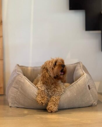 Carl Hundekurv Beige   Bred Fløjl Large
