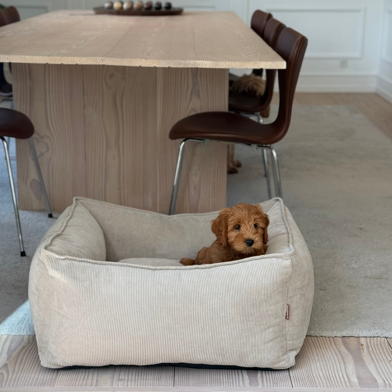 Carl Hundekurv Beige   Smal Fløjl