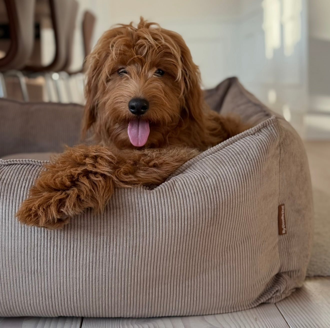 Carl Hundekurven Lys Brun Smal Fløjl Medium