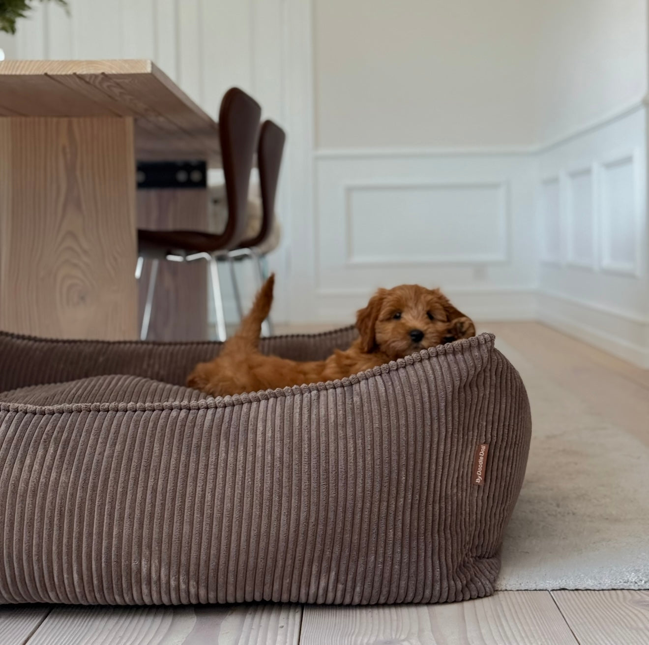 Carl Hundekurven     Mørk Brun Forudbestilling Uge 47