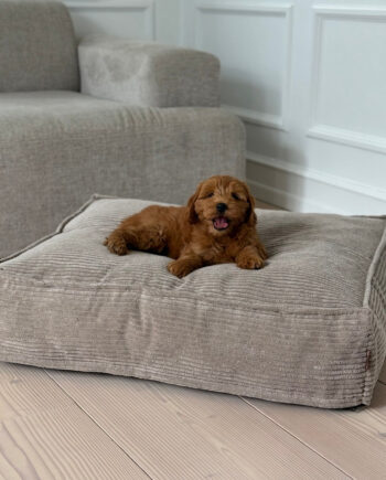Frede Hundekurven   Beige