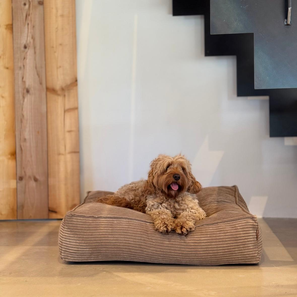 Frede Hundekurven   Lys Brun Medium
