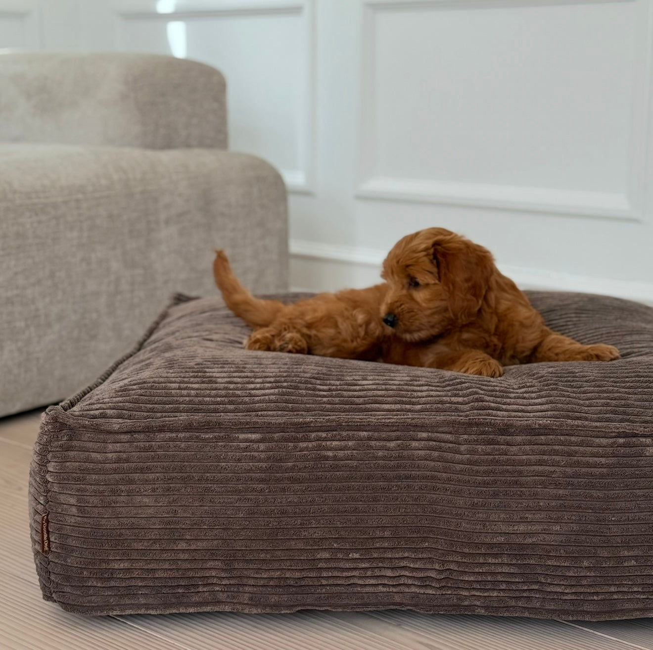 Frede Hundekurven   Mørk Brun Medium   85   74   20 Cm