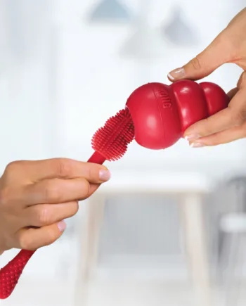 Kong Brush Rengøringsbørste