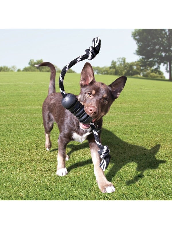 Kong Dog Toy Extreme Dental   Rope Medium