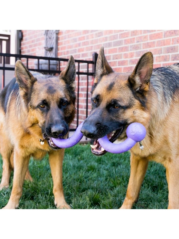 Kong Hundelegetøj Ogee Stick 30cm