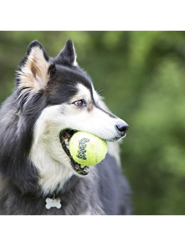 Kong Hundelegetøj Squeakair Ball  Arge 10cm