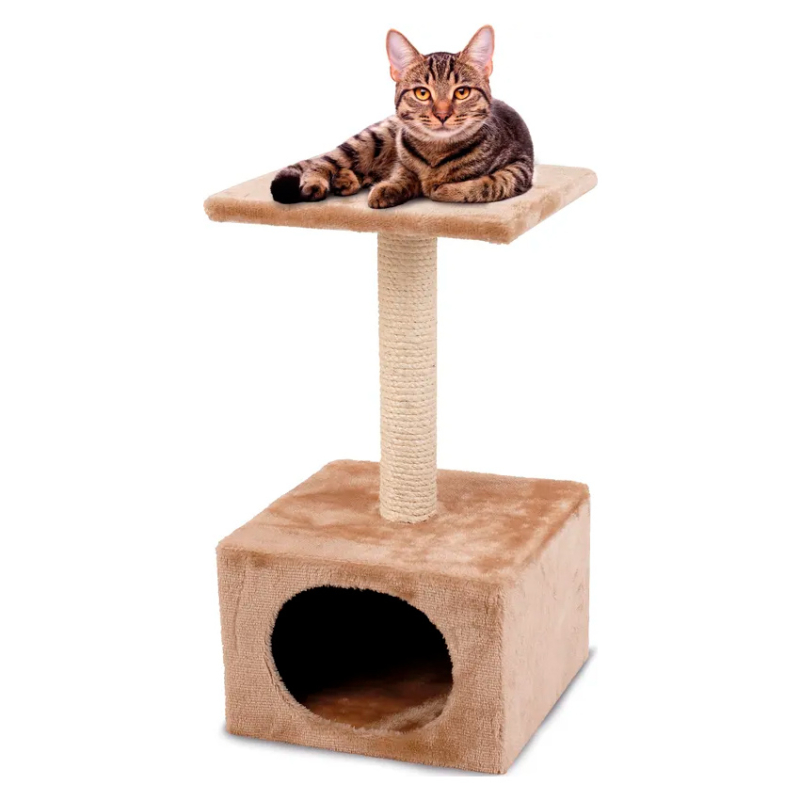 Kradsetræ Sassière Til Katte 55 Cm Med Hule Og Platform