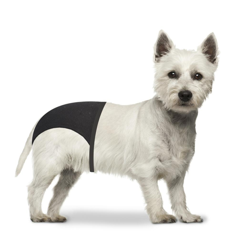 Løbetidsbukser Til Hund