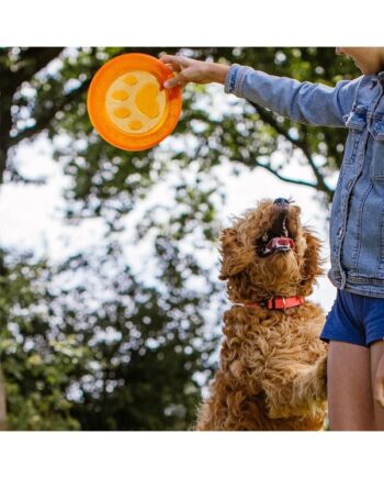 Nobby Tpr Frisbee Paw