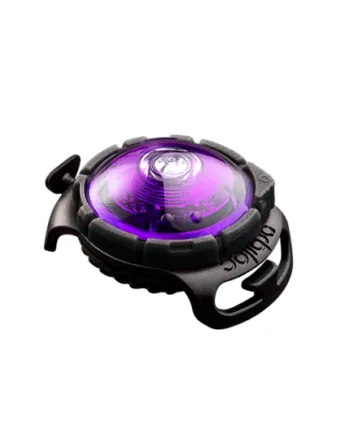 Orbiloc Dog Dual Purple
