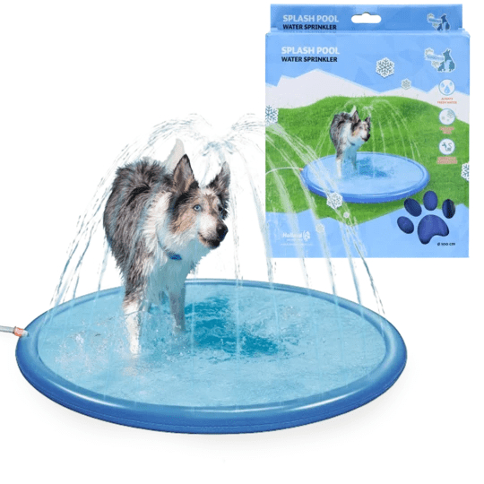 Pool Med Sprinkler Coolpets