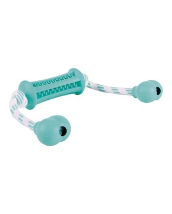 Trixie Denta Fun Stick With Rope Mint Flavour 9x37cm